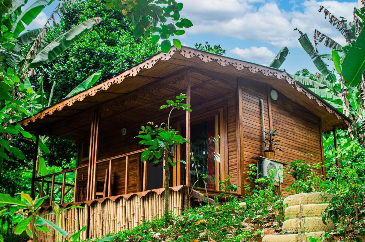 Вилла Eco-Por Rio do Ouro Экстерьер фото