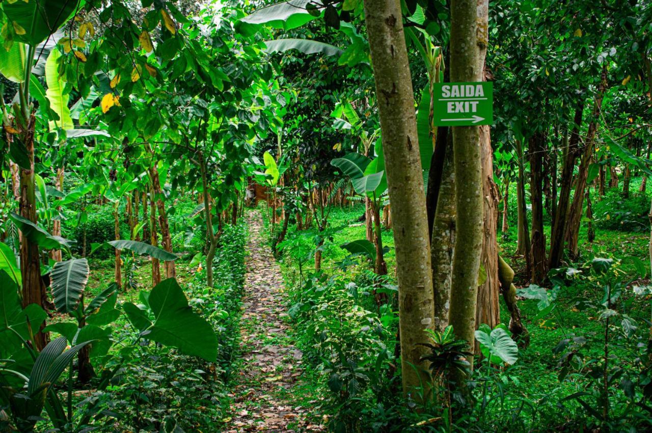 Вилла Eco-Por Rio do Ouro Экстерьер фото