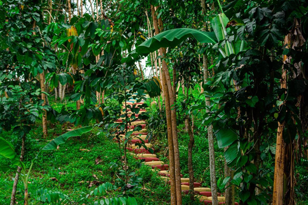 Вилла Eco-Por Rio do Ouro Экстерьер фото