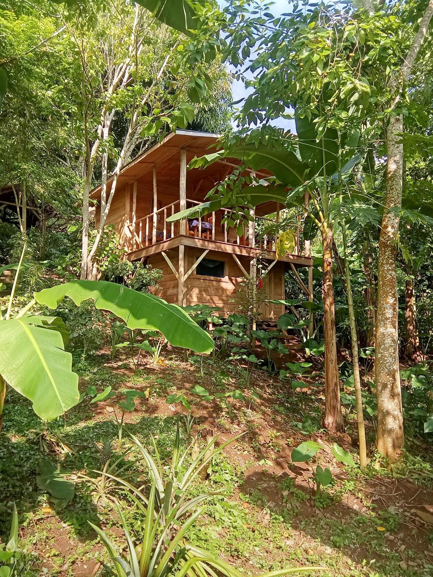 Вилла Eco-Por Rio do Ouro Экстерьер фото